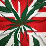 flag of England in the form of a cannabis