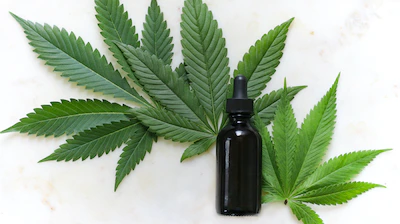 feuille de cannabis et bouteille de gouttes noire