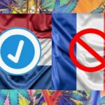 Drapeau pays-bas juxtaposé france sur un fond composé de feuilles de cannabis