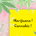 Fond composé de feuille de cannabis écris dessus Marijuana et Cannabis