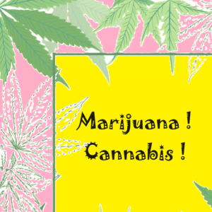 Fond composé de feuille de cannabis écris dessus Marijuana et Cannabis