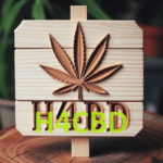 Plaque en bois avec l'inscription H4CBD et une feuille de cannabis