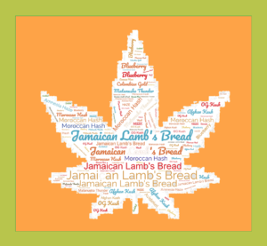 Feuille de cannabis sous forme de calligramme sur un fond mandarine