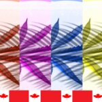 feuilles de cannabis en different couleurs